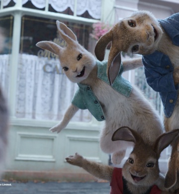 PETER RABBIT™ MULTI-FEATURE banner