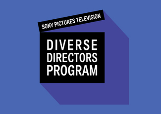 DIVERSE DIRECTORS PROGRAM 