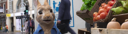 PETER RABBIT™ 2: THE RUNAWAY